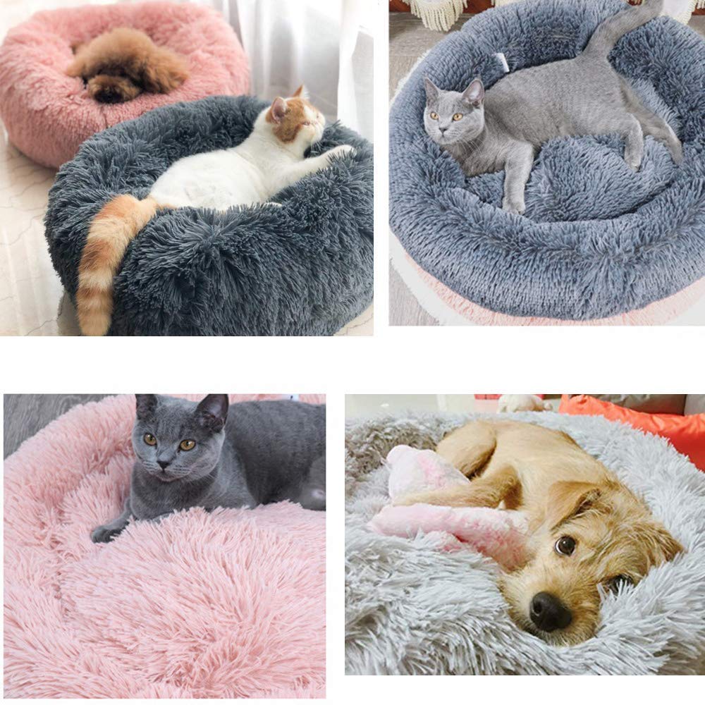 PawsyBeans™ - Anxiety Relieving Pet Bed
