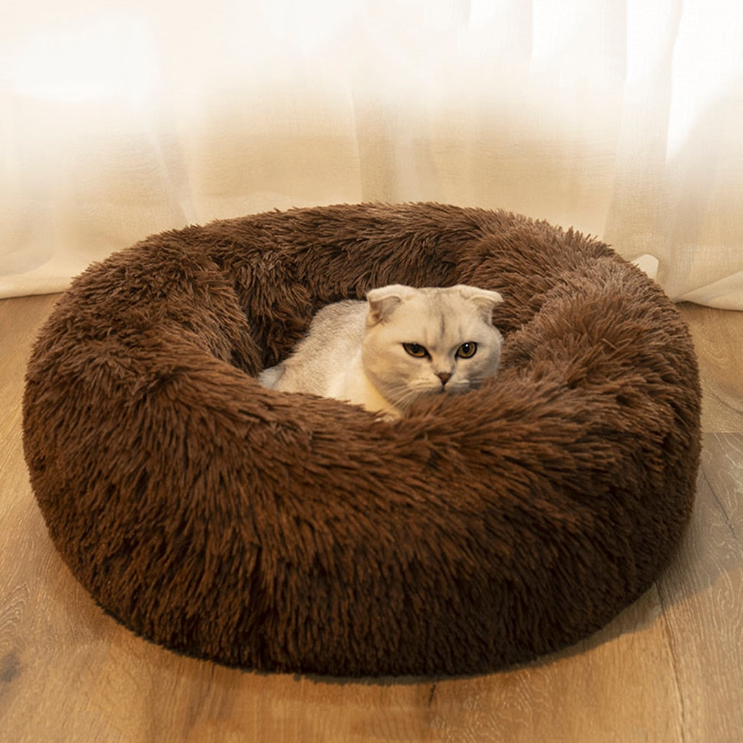 PawsyBeans™ - Anxiety Relieving Pet Bed