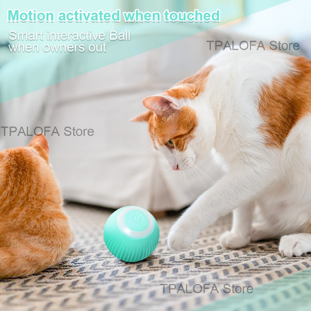 Automatic Spinball Pet Toy