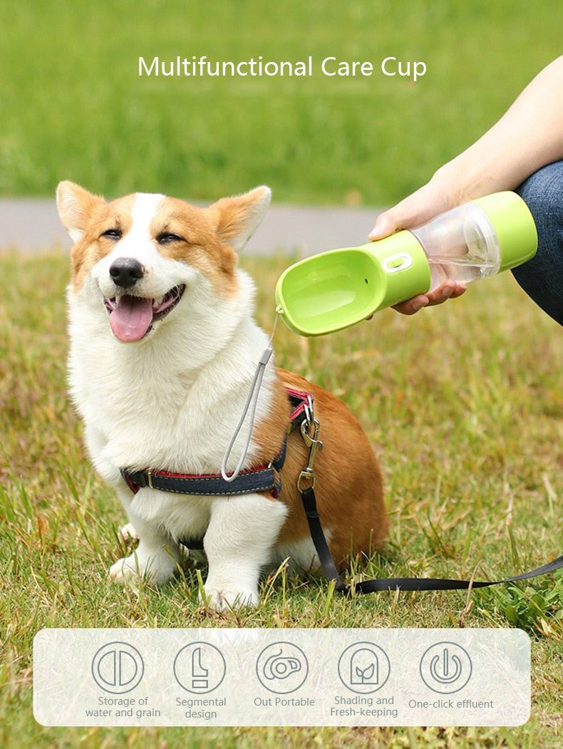 Portable Pet Water Bottle Feeder