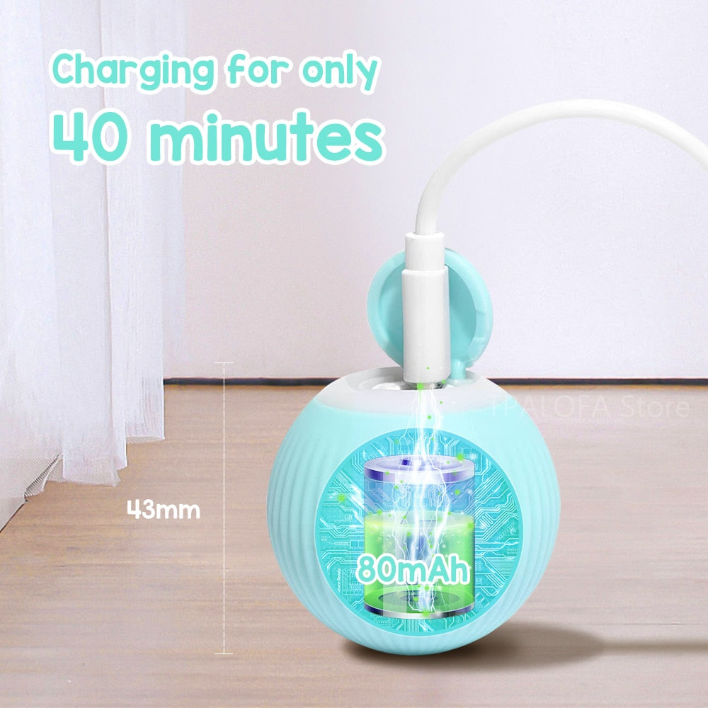 Automatic Spinball Pet Toy