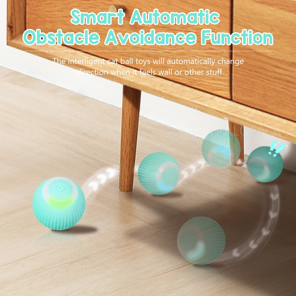 Automatic Spinball Pet Toy