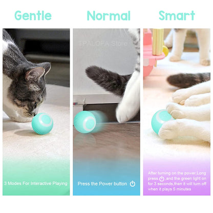 Automatic Spinball Pet Toy